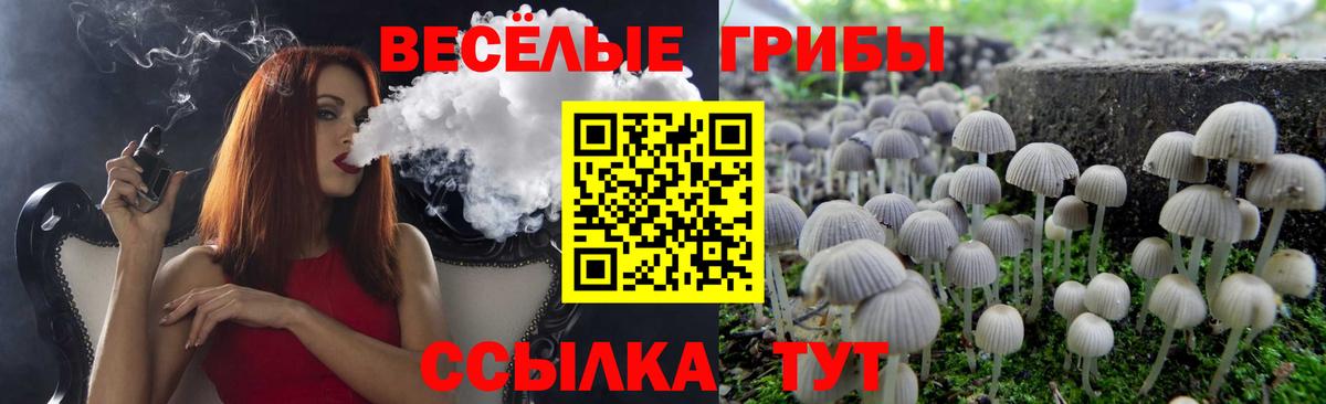 Псилоцибиновые грибы Psilocybe  Вход с VPN  Тверь 